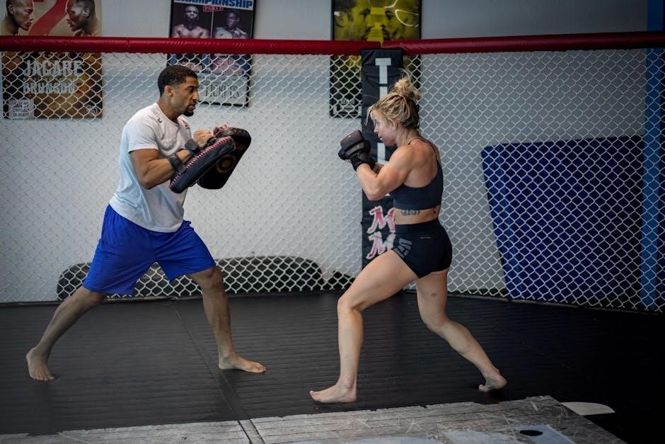 jim knight coaching cycle pdf