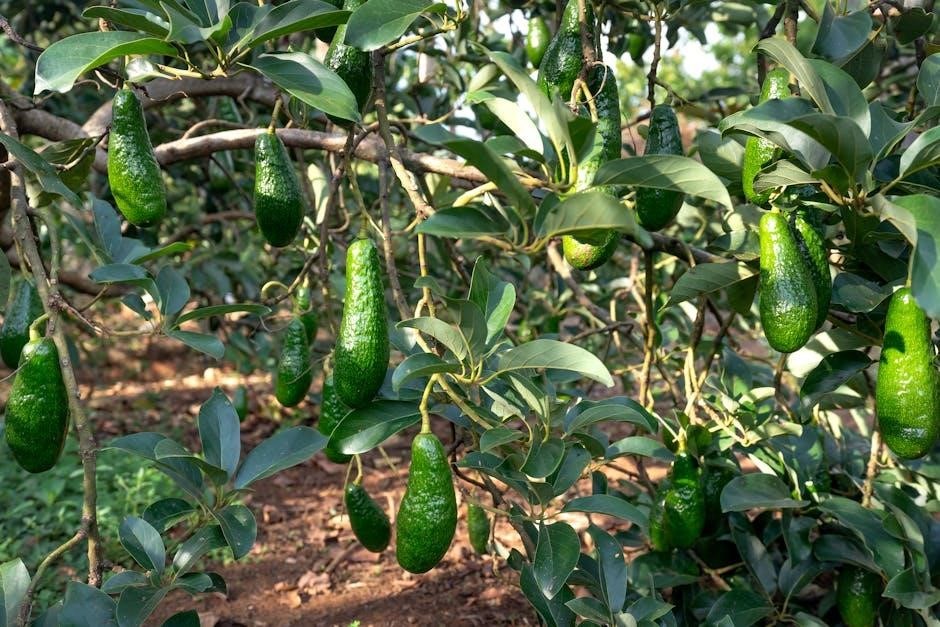 second branch the executive answer key pdf