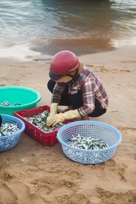 hamilton beach dehydrator manual