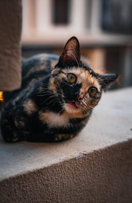 makayla thomas fitness cookbook pdf free download