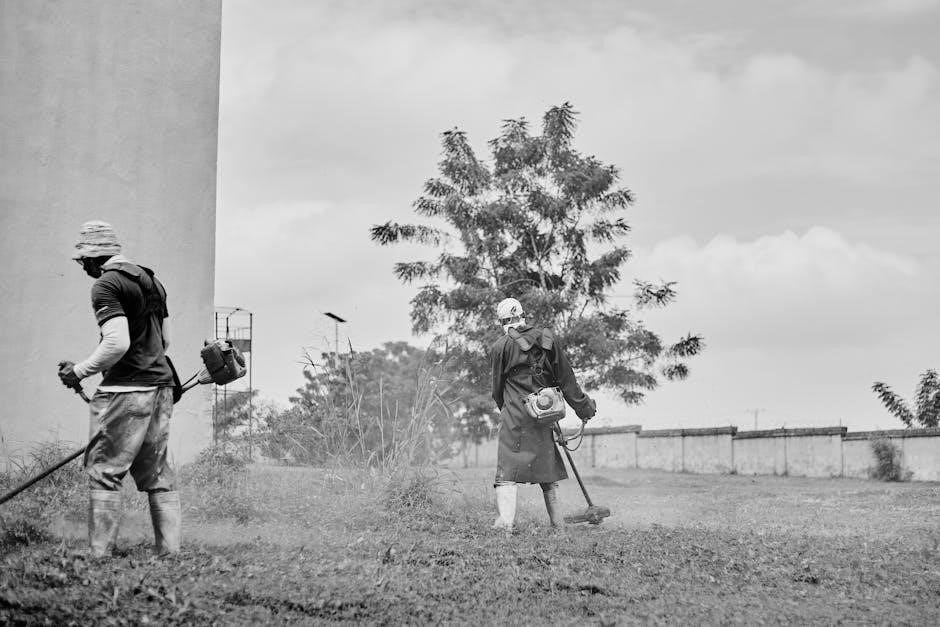 mclane reel mower manual