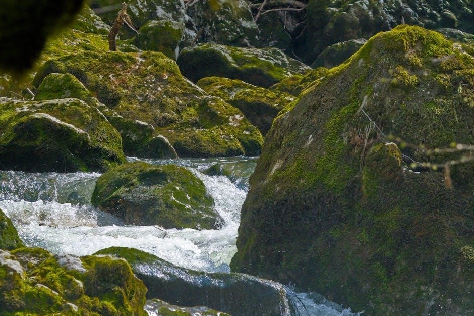 energy flow in ecosystem pdf