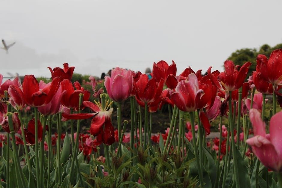 schedule of benefits ontario pdf