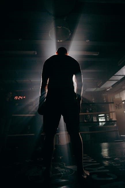 motive power bleeder instructions