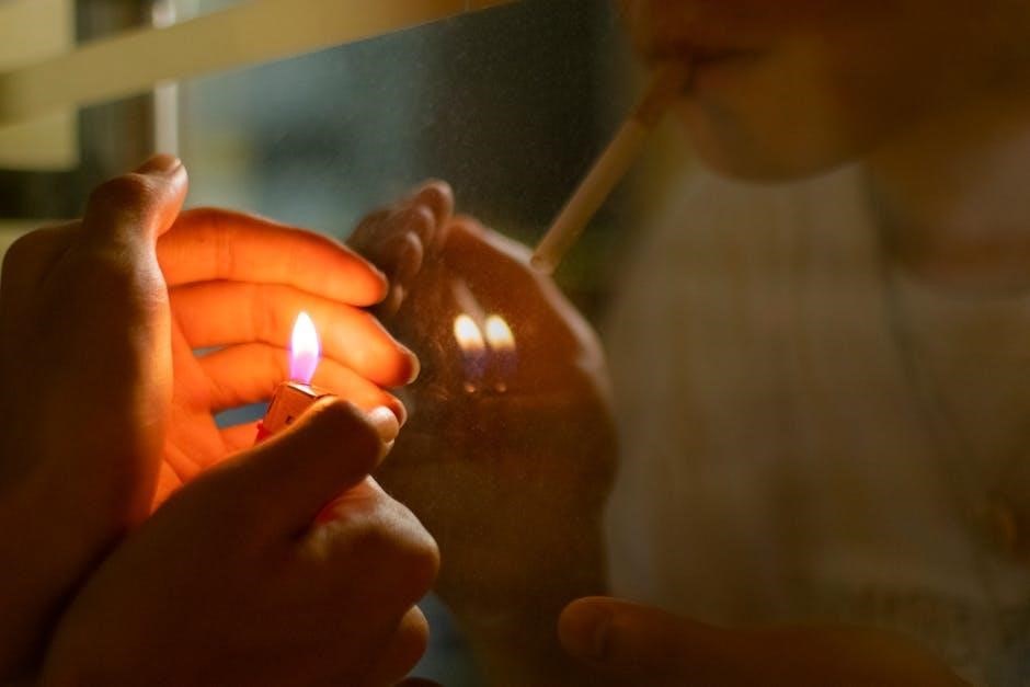 fires in the mirror pdf